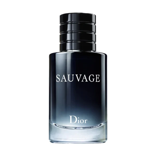Parfum inspirat de Sauvage Dior EDP, 100ml