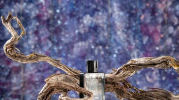 Fascinația Parfumurilor: Mergând Dincolo de Arome 12 Fascinația Parfumurilor: Mergând Dincolo de Arome