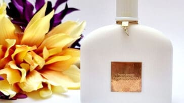 Parfumul White Patchouli Tom Ford: Descriere și Recenzii 10 Parfumul White Patchouli Tom Ford