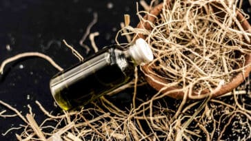 Top 5 Parfumuri cu Vetiver în 2024: Cele Mai Bune Opțiuni Pentru un Miros Sofisticat 36 Parfumuri cu Vetiver